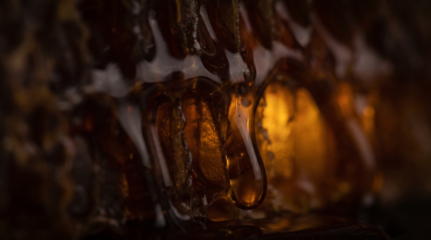 Close-up of golden Prime Honey