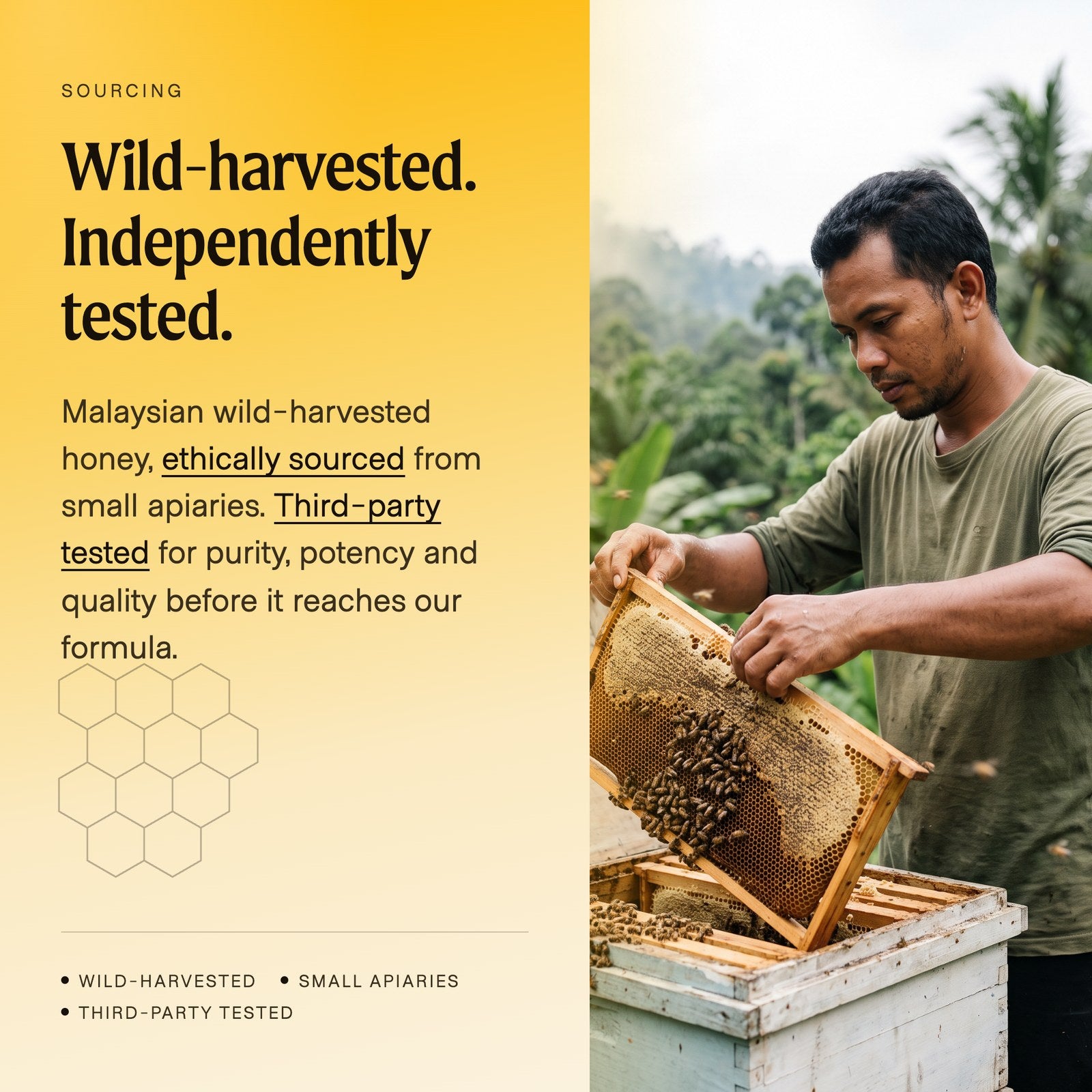 Prime Honey Organic